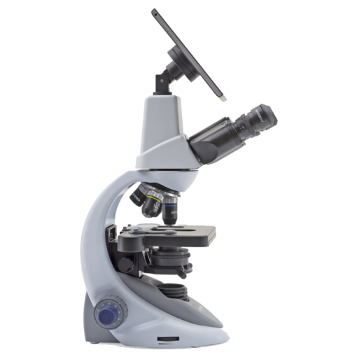 optika mikroskooppi