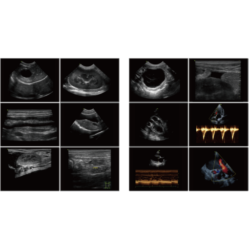 d5 vet ultraäänitutkimuslaite kuvia